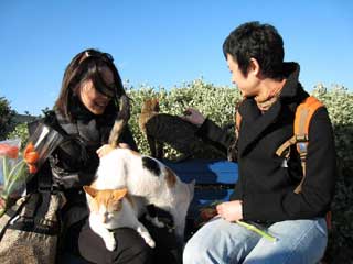 猫まみれ〜